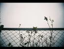 【甘雨】「just be friends piano-ver-」を歌ってみた。
