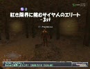 FF11 - 紅き限界に挑むサイヤ人のエリート　-3st