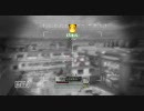 CoD MW2 TDM 50k　UMP45/FMJ
