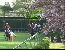 【競馬予想】d-s-keiba'10　ver.皐月賞