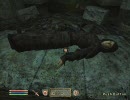 【ゆっくり実況】ゆっくり狂気のオブリビオン第3章-3