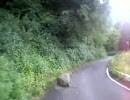 【酷道】国道303号線 2007 八草峠後編～岐阜県側～【自転車 車載】