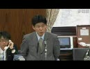2010/4/20参院外交防衛委・山本一太(自由民主党・改革クラブ)前編