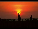 The B Foundation - LAND DOWN UNDER