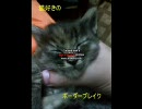 【S5】猫好きのボーダーブレイク【支援】２０匹目