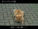 【バイク】北海道ツーリング2009「Prologue」Part2【車載動画】