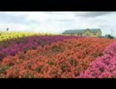 『富良野旅情』吉川団十郎音楽ビデオ（北海道）