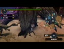 【MHP2G】片手剣始めました。9【ニャンニャン動画(棒)】