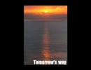♂だけど♪Ｔｏｍｏｒｒｏｗ’ｓ　ｗａｙ♪を【歌ってみた】