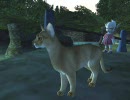ねこねこ動画【  エンコテスト 】