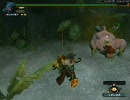 [MHF]ハードコアババコンガ　ハンマーソロ　その３