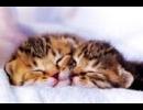 【不協和音】サンドリヨン【歌ってみた】
