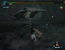 [MHF]ハードコアフルフル　ハンマーソロ　その１