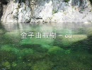 金子由布樹 - cu