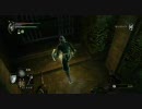【デモンズソウル】テラドＳの俺がマゾゲーをやってみる Vol.14【実況】