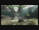 【MH3】リオレイアをイジメてみた。