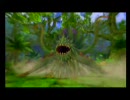 楽しんで実況プレイ～アークライズファンタジア～ Part 15