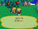 【実況】底辺実況者が森で癒される【どうぶつの森】part34