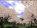 【歌ってみた】桜坂【ヴァナディールの皆さんへ】【Caimu】