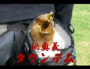 ﾔｷｿﾊﾞ＆ｿﾌﾄ富士山周辺ツーリング行ってきたよ！
