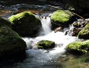 春の奥多摩（日の出山～つるつる温泉）