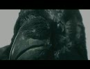 Swallow the Sun - Don't Fall Asleep