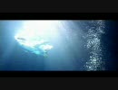 /音/速/パ/ン/チ