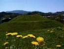 【南河内郡】金山古墳【河南町】