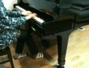 【演奏してみた】耳コピでガンダムSEEDの曲をオルゴール風に【水無音】