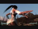 【Fallout3】ヘタっぴの奴隷解放日記