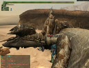 【MHF】ﾒｶﾞ祖の暇つぶし～鳥竜VS上位ﾃﾞｨｱ編～