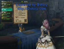 【MHF】パラ☆パラDEデェト－６日目－