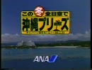 ANA 冬キャンペーン 沖縄プリーズ1987-88