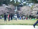 ラグビーに勤しむ若人達