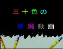 三十色の新潟動画