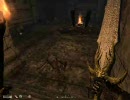 [PC] Oblivion - Shivering Isles Part19