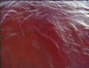 悪魔の毒々映画をカンヌで売る方法！　4/4