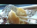 駅弁を食べに行こうよ！　流氷みれるかな？2010　その１３