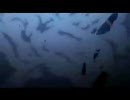 【MAD】とある魔術の禁書目録OP【TOUGH-BOY】