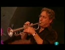 Perico Sambeat Flamenco Big Band en Donostia 