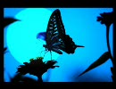 【静岡】Sparkle Ecstasy #001【Trance】