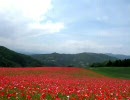□□□GW真っ只中　そん時みんな何処に居たのさ？2010□□□