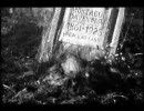 Shady Glimpse 『Zombie Spiral』