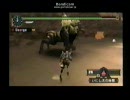MHP2G　ラージャン双剣[立ち回り研究]　１頭目