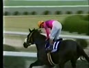 1994年　有馬記念　ナリタブライアン