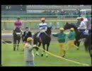 1995年　ジャパンカップ　ランド