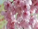 March
