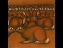Erick Gale - Multiplication