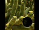 luke vibert-pretty old acid music