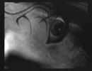 ビビる兄とそれを後ろで笑う妹で零〜刺青の聲〜を実況してみたprat32